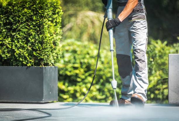 Animal Enclosure Cleaning in Corning, AR