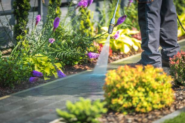 Best Gutter Cleaning  in Corning, AR