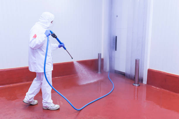 Pre-Holiday Cleaning in Corning, AR